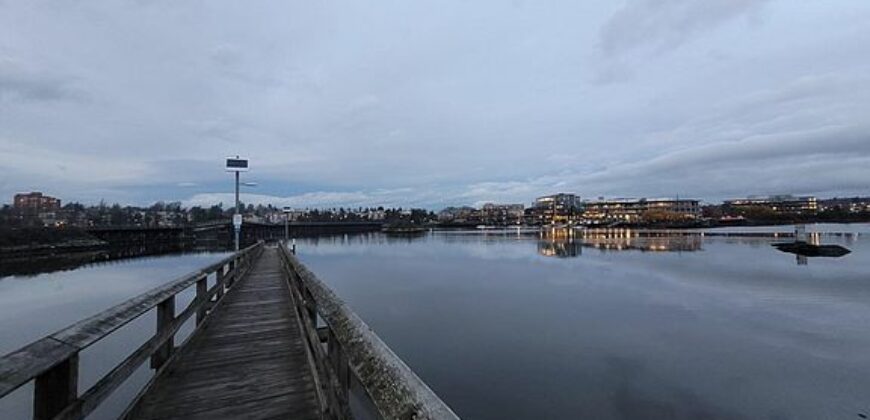 Beautiful Views On The George Waterway